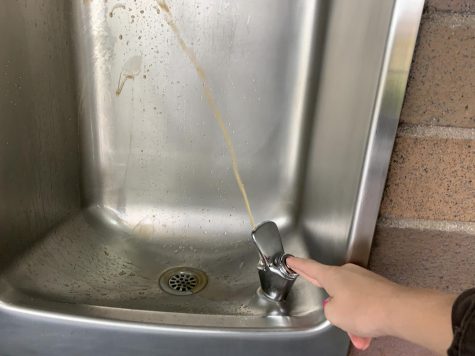 Water from a drinking fountain in one of the lunchrooms