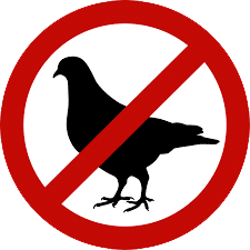 Chicago Bans Birds