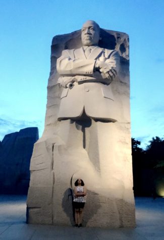 Adrian Bowman, 2019. 
MLK Monument in Washington DC.