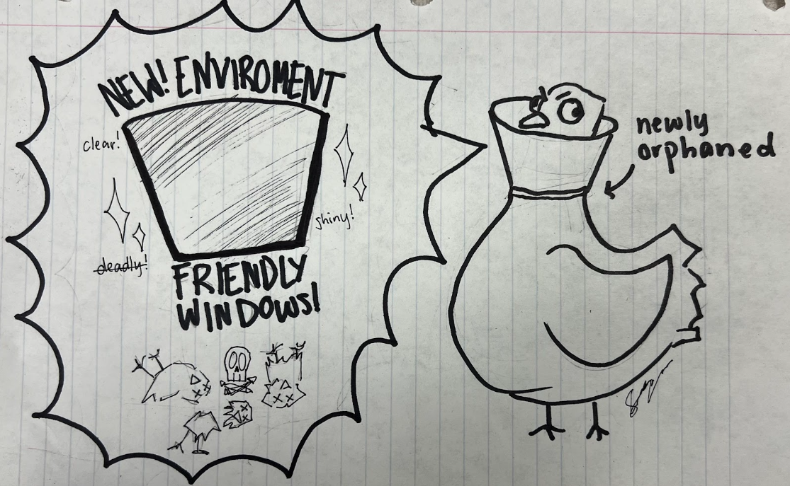 New Environmentally Friendly Window Kills Bird (Bacon)